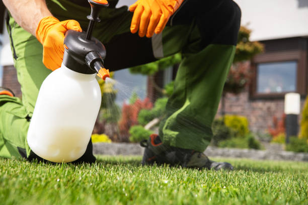 Best Pest Inspection Near Me  in Coalinga, CA