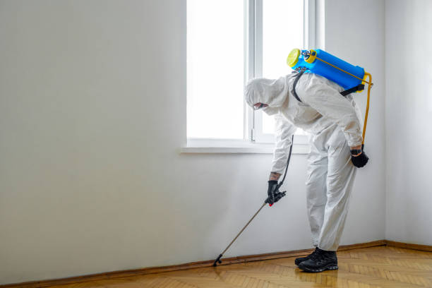 Best Flea Control Services  in Coalinga, CA