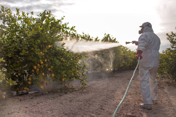 Best Best Pest Control Companies  in Coalinga, CA
