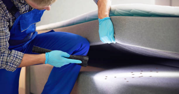 Best Local Pest Control Services  in Coalinga, CA