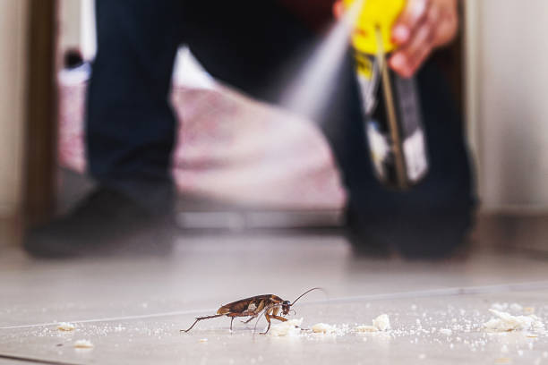 Wildlife Control Services in Coalinga, CA