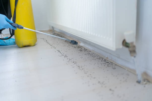 Best Cockroach Control Services  in Coalinga, CA